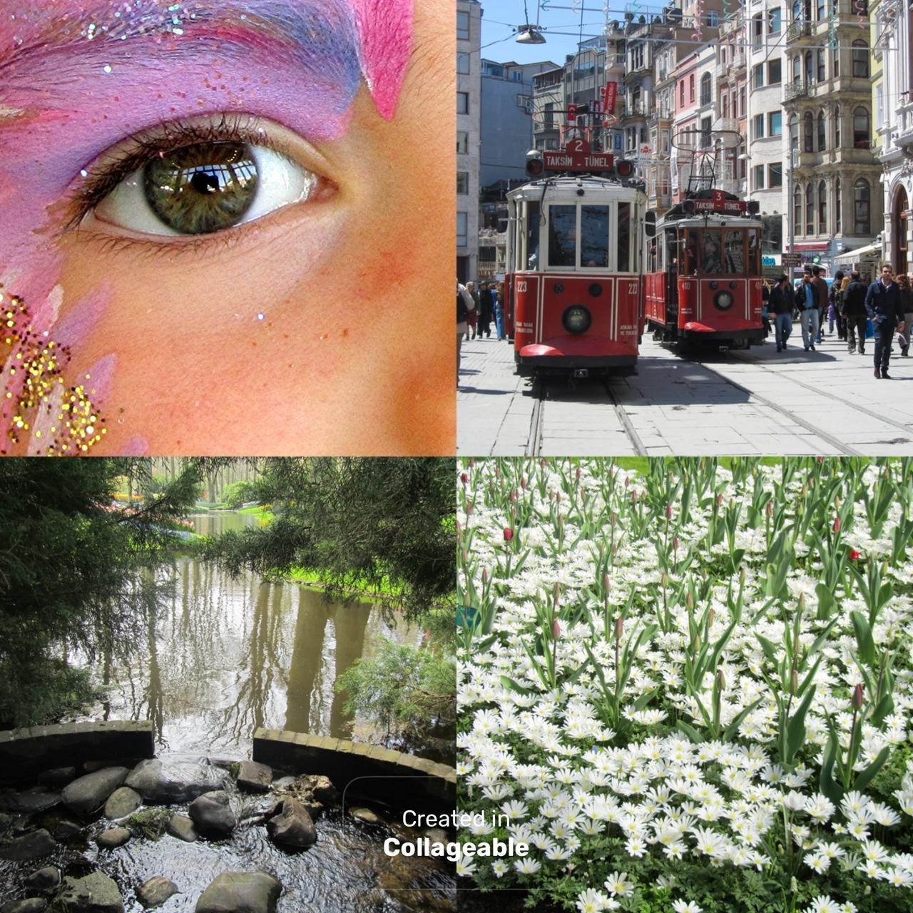 Canon Gold and Silver Cameras-and-accessories