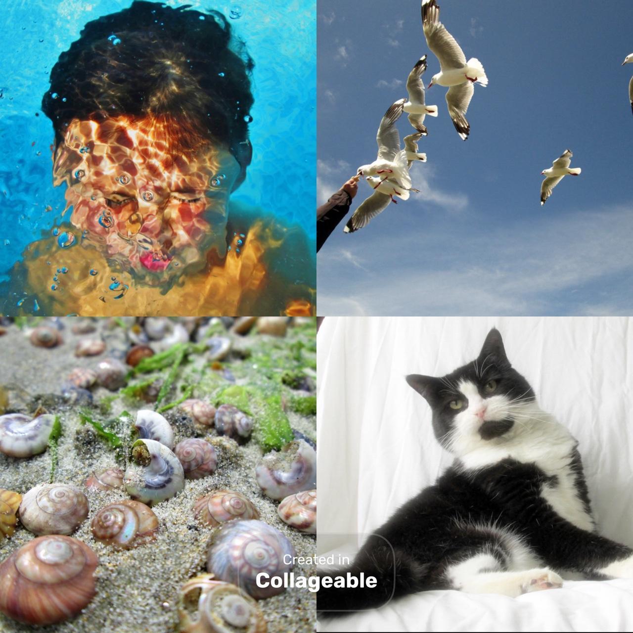 Canon Powershot A2500